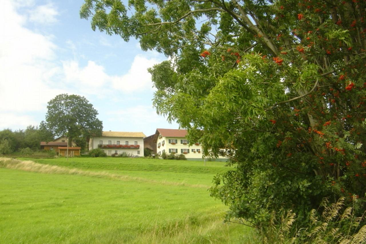 Birkenhof Apartment นูเคอร์เคน ไบม์ ไฮลิเงน บลูท ภายนอก รูปภาพ